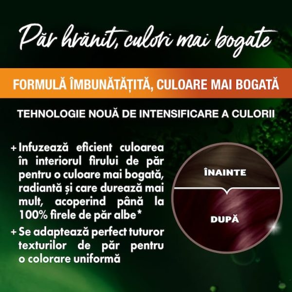Garnier vopsea de par permanenta cu amoniac Color Naturals, 3.61 Mura Delicioasa, 100ML - imagine 3