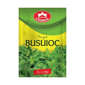 Cosmin busuioc 8G